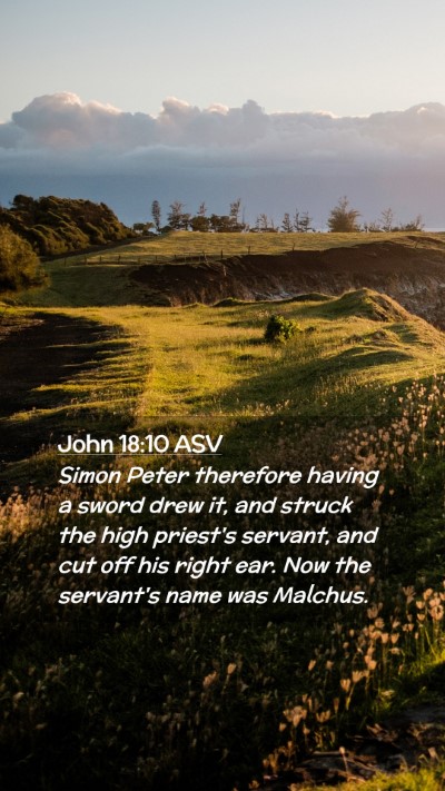 Picture 02 - John 18:10 ASV Mobile Phone Wallpaper - Simon Peter therefore having a sword drew it, and - Mobile Bible Verse Wallpaper