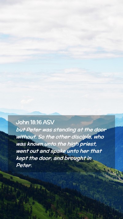 Picture 02 - John 18:16 ASV Mobile Phone Wallpaper - but Peter was standing at the door without. So - Mobile Bible Verse Wallpaper