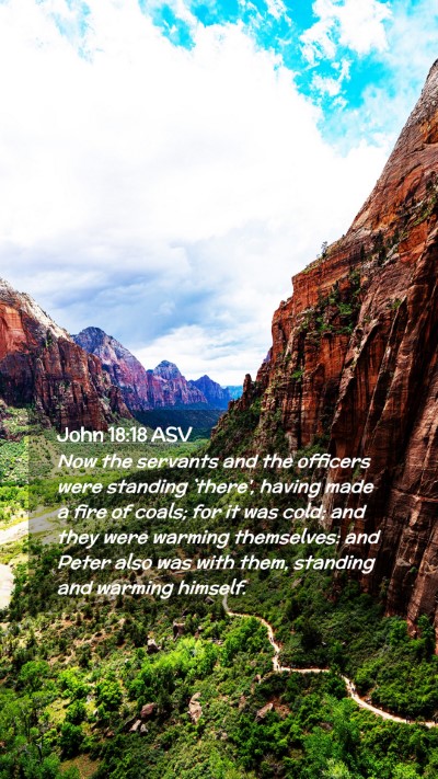 Picture 02 - John 18:18 ASV Mobile Phone Wallpaper - Now the servants and the officers were standing - Mobile Bible Verse Wallpaper