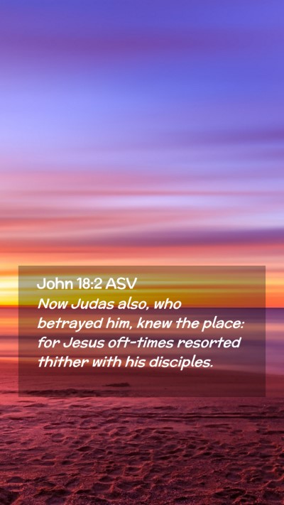 Picture 02 - John 18:2 ASV Mobile Phone Wallpaper - Now Judas also, who betrayed him, knew the place: - Mobile Bible Verse Wallpaper