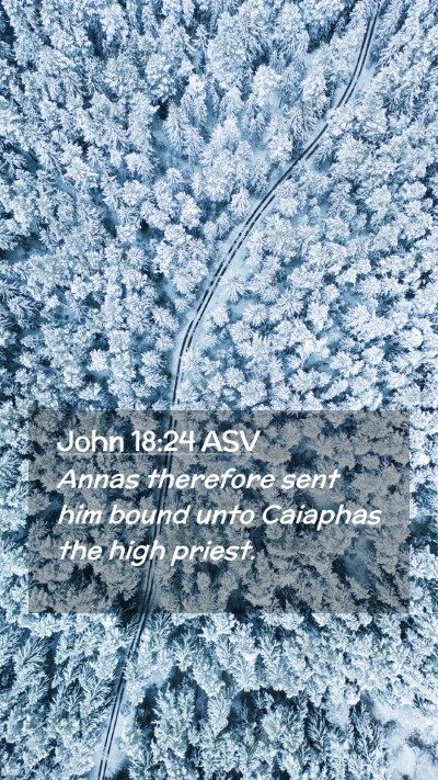 Picture 02 - John 18:24 ASV Mobile Phone Wallpaper - Annas therefore sent him bound unto Caiaphas the - Mobile Bible Verse Wallpaper