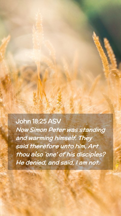 Picture 02 - John 18:25 ASV Mobile Phone Wallpaper - Now Simon Peter was standing and warming himself. - Mobile Bible Verse Wallpaper