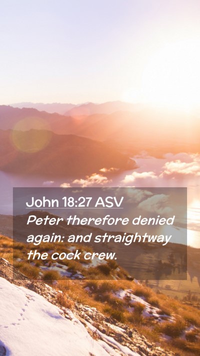 Picture 02 - John 18:27 ASV Mobile Phone Wallpaper - Peter therefore denied again: and straightway the - Mobile Bible Verse Wallpaper