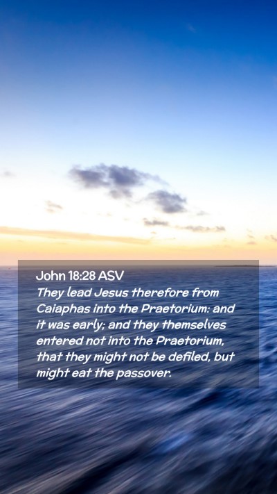 Picture 02 - John 18:28 ASV Mobile Phone Wallpaper - They lead Jesus therefore from Caiaphas into the - Mobile Bible Verse Wallpaper