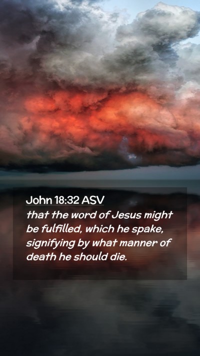 Picture 02 - John 18:32 ASV Mobile Phone Wallpaper - that the word of Jesus might be fulfilled, which - Mobile Bible Verse Wallpaper