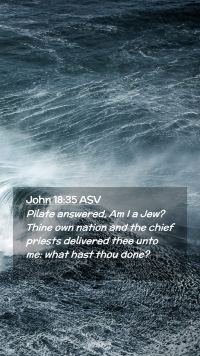 Picture 02 - John 18:35 ASV Mobile Phone Wallpaper - Pilate answered, Am I a Jew? Thine own nation and - Mobile Bible Verse Wallpaper