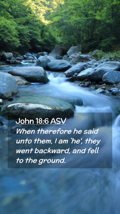 Picture 02 - John 18:6 ASV Mobile Phone Wallpaper - When therefore he said unto them, I am `he', they - Mobile Bible Verse Wallpaper