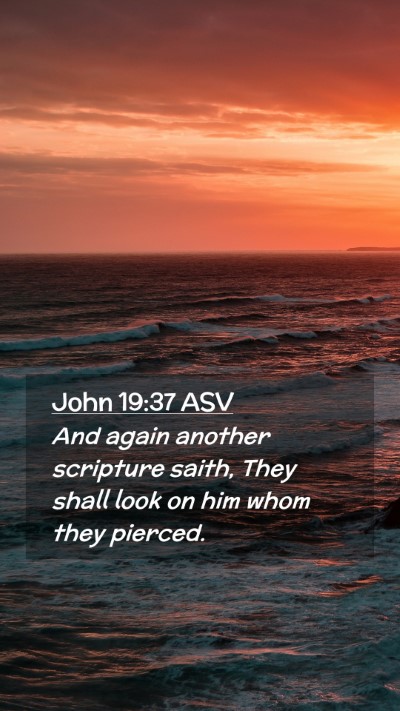 Picture 02 - John 19:37 ASV Mobile Phone Wallpaper - And again another scripture saith, They shall - Mobile Bible Verse Wallpaper