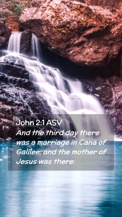 Picture 02 - John 2:1 ASV Mobile Phone Wallpaper - And the third day there was a marriage in Cana of - Mobile Bible Verse Wallpaper