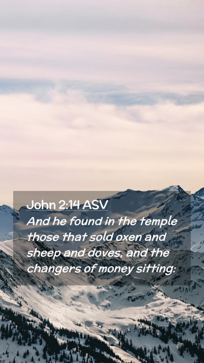 Picture 02 - John 2:14 ASV Mobile Phone Wallpaper - And he found in the temple those that sold oxen - Mobile Bible Verse Wallpaper