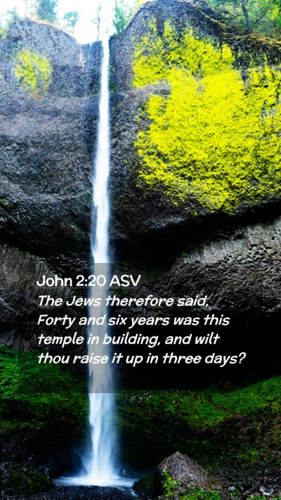 Picture 02 - John 2:20 ASV Mobile Phone Wallpaper - The Jews therefore said, Forty and six years was - Mobile Bible Verse Wallpaper