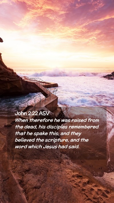 Picture 02 - John 2:22 ASV Mobile Phone Wallpaper - When therefore he was raised from the dead, his - Mobile Bible Verse Wallpaper