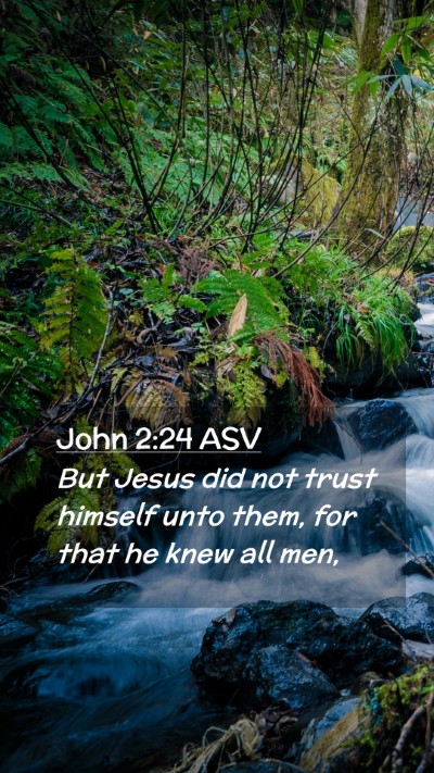 Picture 02 - John 2:24 ASV Mobile Phone Wallpaper - But Jesus did not trust himself unto them, for - Mobile Bible Verse Wallpaper