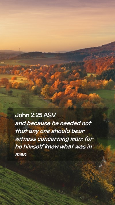 Picture 02 - John 2:25 ASV Mobile Phone Wallpaper - and because he needed not that any one should - Mobile Bible Verse Wallpaper
