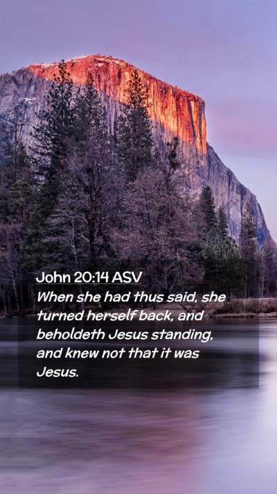 Picture 02 - John 20:14 ASV Mobile Phone Wallpaper - When she had thus said, she turned herself back, - Mobile Bible Verse Wallpaper