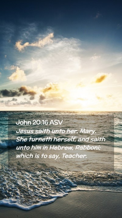 Picture 02 - John 20:16 ASV Mobile Phone Wallpaper - Jesus saith unto her, Mary. She turneth herself, - Mobile Bible Verse Wallpaper