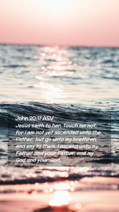 Picture 02 - John 20:17 ASV Mobile Phone Wallpaper - Jesus saith to her, Touch me not; for I am not - Mobile Bible Verse Wallpaper
