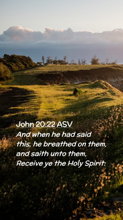 Picture 02 - John 20:22 ASV Mobile Phone Wallpaper - And when he had said this, he breathed on them, - Mobile Bible Verse Wallpaper