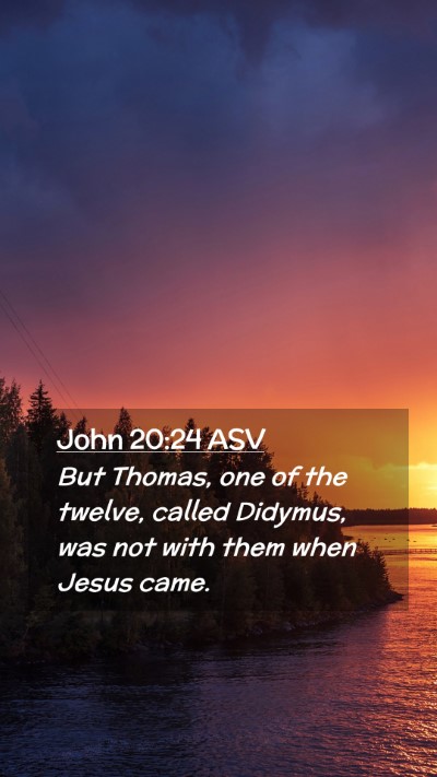 Picture 02 - John 20:24 ASV Mobile Phone Wallpaper - But Thomas, one of the twelve, called Didymus, - Mobile Bible Verse Wallpaper