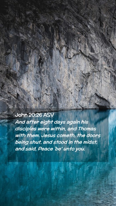 Picture 02 - John 20:26 ASV Mobile Phone Wallpaper - And after eight days again his disciples were - Mobile Bible Verse Wallpaper