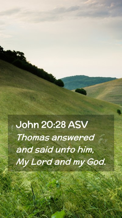 Picture 02 - John 20:28 ASV Mobile Phone Wallpaper - Thomas answered and said unto him, My Lord and my - Mobile Bible Verse Wallpaper