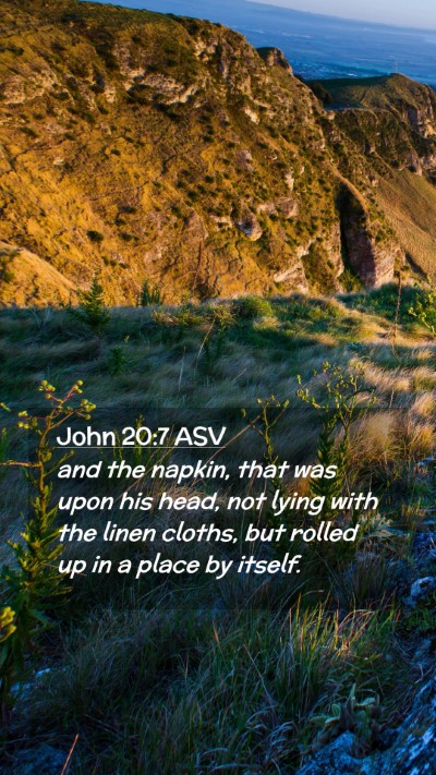 Picture 02 - John 20:7 ASV Mobile Phone Wallpaper - and the napkin, that was upon his head, not lying - Mobile Bible Verse Wallpaper