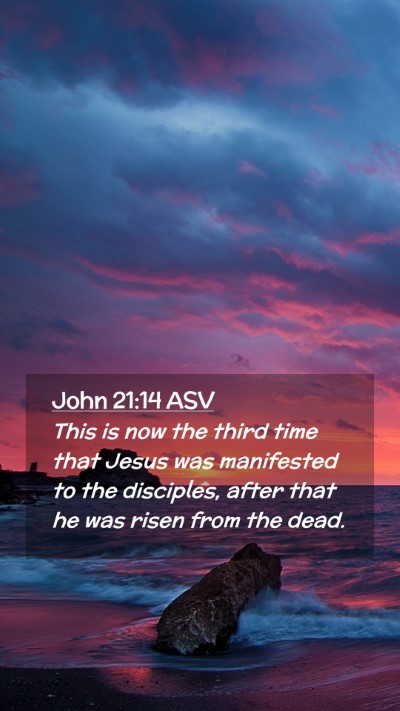 Picture 02 - John 21:14 ASV Mobile Phone Wallpaper - This is now the third time that Jesus was - Mobile Bible Verse Wallpaper