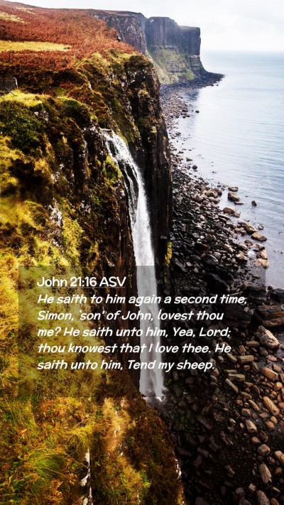 Picture 02 - John 21:16 ASV Mobile Phone Wallpaper - He saith to him again a second time, Simon, `son' - Mobile Bible Verse Wallpaper