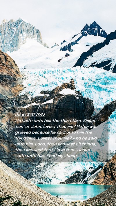 Picture 02 - John 21:17 ASV Mobile Phone Wallpaper - He saith unto him the third time, Simon, `son' of - Mobile Bible Verse Wallpaper