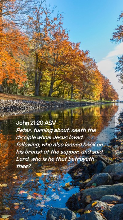 Picture 02 - John 21:20 ASV Mobile Phone Wallpaper - Peter, turning about, seeth the disciple whom - Mobile Bible Verse Wallpaper