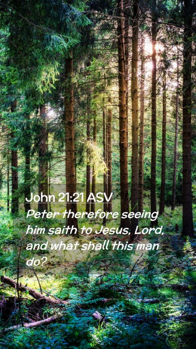 Picture 02 - John 21:21 ASV Mobile Phone Wallpaper - Peter therefore seeing him saith to Jesus, Lord, - Mobile Bible Verse Wallpaper