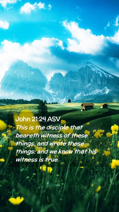 Picture 02 - John 21:24 ASV Mobile Phone Wallpaper - This is the disciple that beareth witness of - Mobile Bible Verse Wallpaper