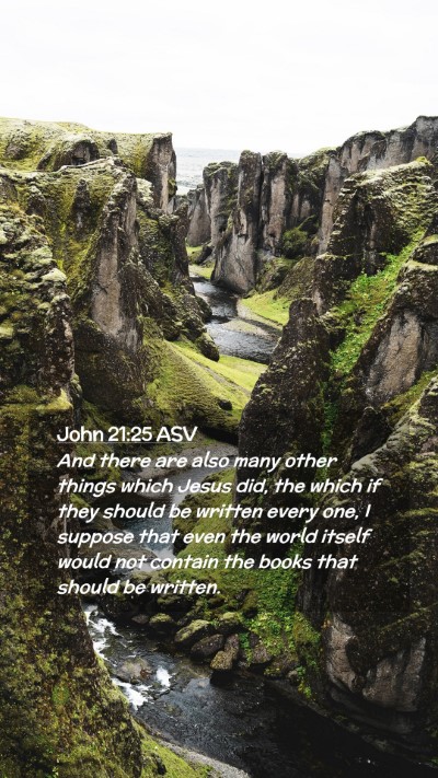 Picture 02 - John 21:25 ASV Mobile Phone Wallpaper - And there are also many other things which Jesus - Mobile Bible Verse Wallpaper