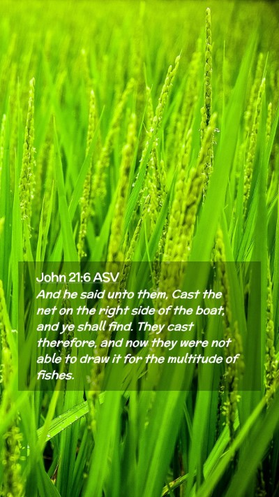 Picture 02 - John 21:6 ASV Mobile Phone Wallpaper - And he said unto them, Cast the net on the right - Mobile Bible Verse Wallpaper