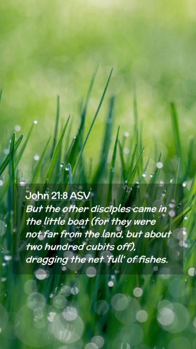 Picture 02 - John 21:8 ASV Mobile Phone Wallpaper - But the other disciples came in the little boat - Mobile Bible Verse Wallpaper