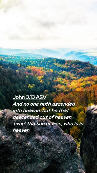 Picture 02 - John 3:13 ASV Mobile Phone Wallpaper - And no one hath ascended into heaven, but he that - Mobile Bible Verse Wallpaper