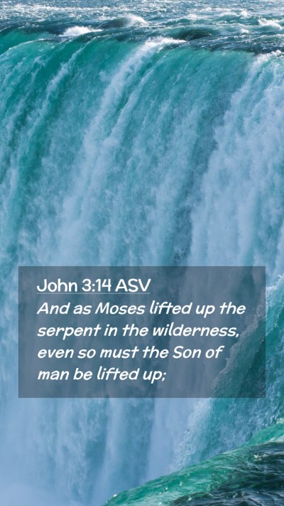 Picture 02 - John 3:14 ASV Mobile Phone Wallpaper - And as Moses lifted up the serpent in the - Mobile Bible Verse Wallpaper