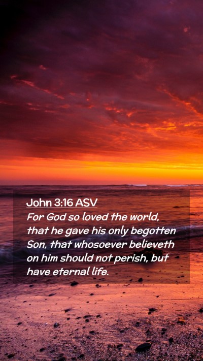 Picture 02 - John 3:16 ASV Mobile Phone Wallpaper - For God so loved the world, that he gave his only - Mobile Bible Verse Wallpaper