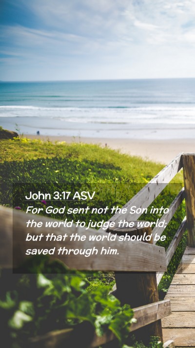 Picture 02 - John 3:17 ASV Mobile Phone Wallpaper - For God sent not the Son into the world to judge - Mobile Bible Verse Wallpaper