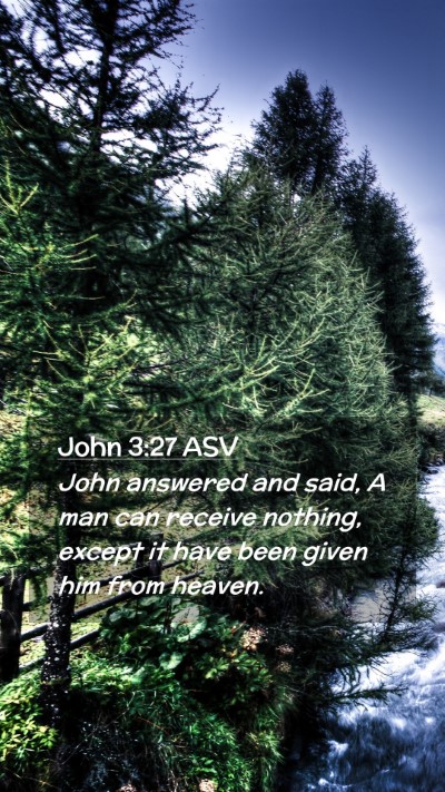 Picture 02 - John 3:27 ASV Mobile Phone Wallpaper - John answered and said, A man can receive - Mobile Bible Verse Wallpaper
