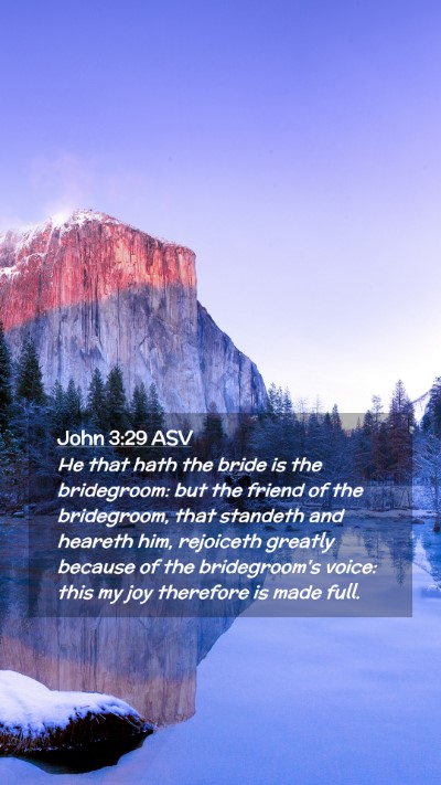 Picture 02 - John 3:29 ASV Mobile Phone Wallpaper - He that hath the bride is the bridegroom: but the - Mobile Bible Verse Wallpaper