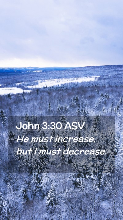 Picture 02 - John 3:30 ASV Mobile Phone Wallpaper - He must increase, but I must - Mobile Bible Verse Wallpaper