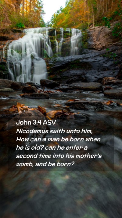 Picture 02 - John 3:4 ASV Mobile Phone Wallpaper - Nicodemus saith unto him, How can a man be born - Mobile Bible Verse Wallpaper