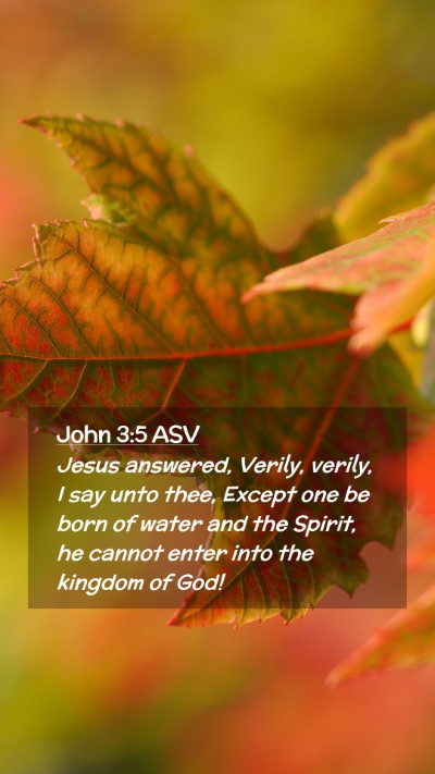 Picture 02 - John 3:5 ASV Mobile Phone Wallpaper - Jesus answered, Verily, verily, I say unto thee, - Mobile Bible Verse Wallpaper