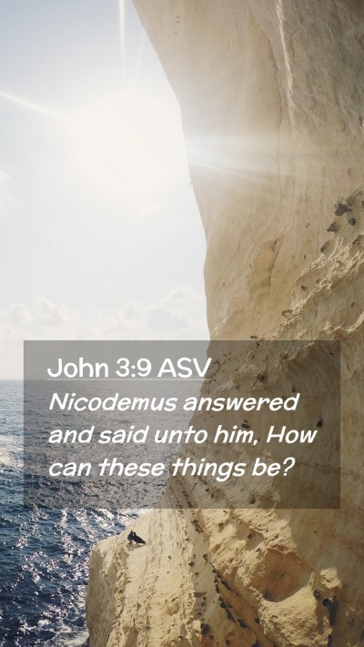 Picture 02 - John 3:9 ASV Mobile Phone Wallpaper - Nicodemus answered and said unto him, How can - Mobile Bible Verse Wallpaper