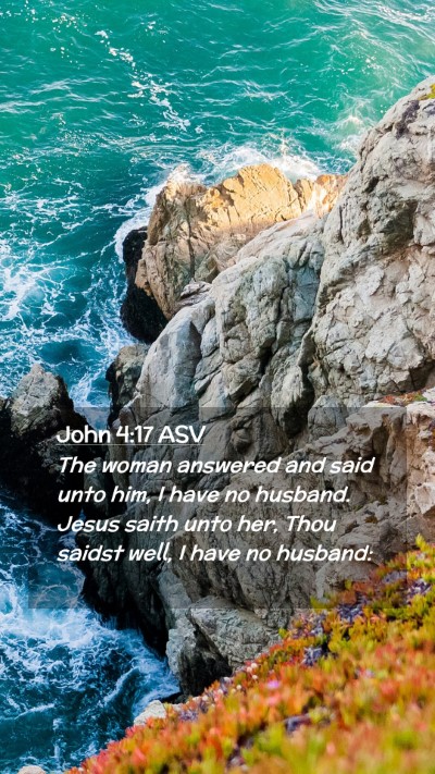 Picture 02 - John 4:17 ASV Mobile Phone Wallpaper - The woman answered and said unto him, I have no - Mobile Bible Verse Wallpaper