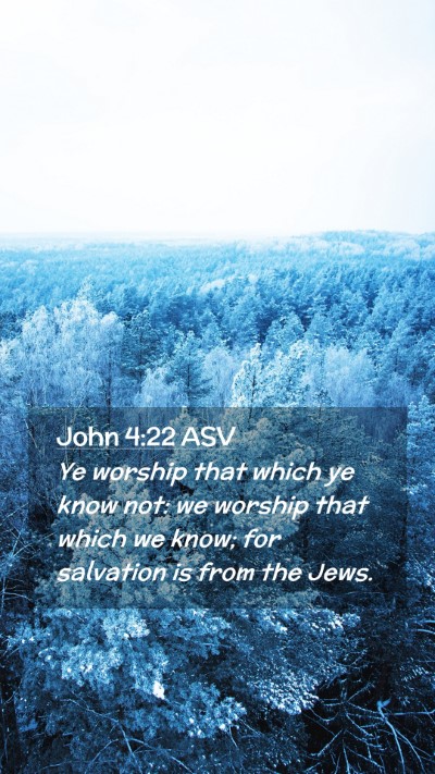 Picture 02 - John 4:22 ASV Mobile Phone Wallpaper - Ye worship that which ye know not: we worship - Mobile Bible Verse Wallpaper