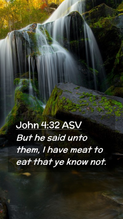 Picture 02 - John 4:32 ASV Mobile Phone Wallpaper - But he said unto them, I have meat to eat that ye - Mobile Bible Verse Wallpaper