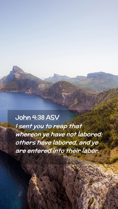 Picture 02 - John 4:38 ASV Mobile Phone Wallpaper - I sent you to reap that whereon ye have not - Mobile Bible Verse Wallpaper
