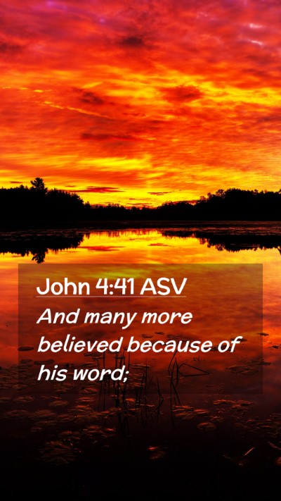 Picture 02 - John 4:41 ASV Mobile Phone Wallpaper - And many more believed because of his - Mobile Bible Verse Wallpaper